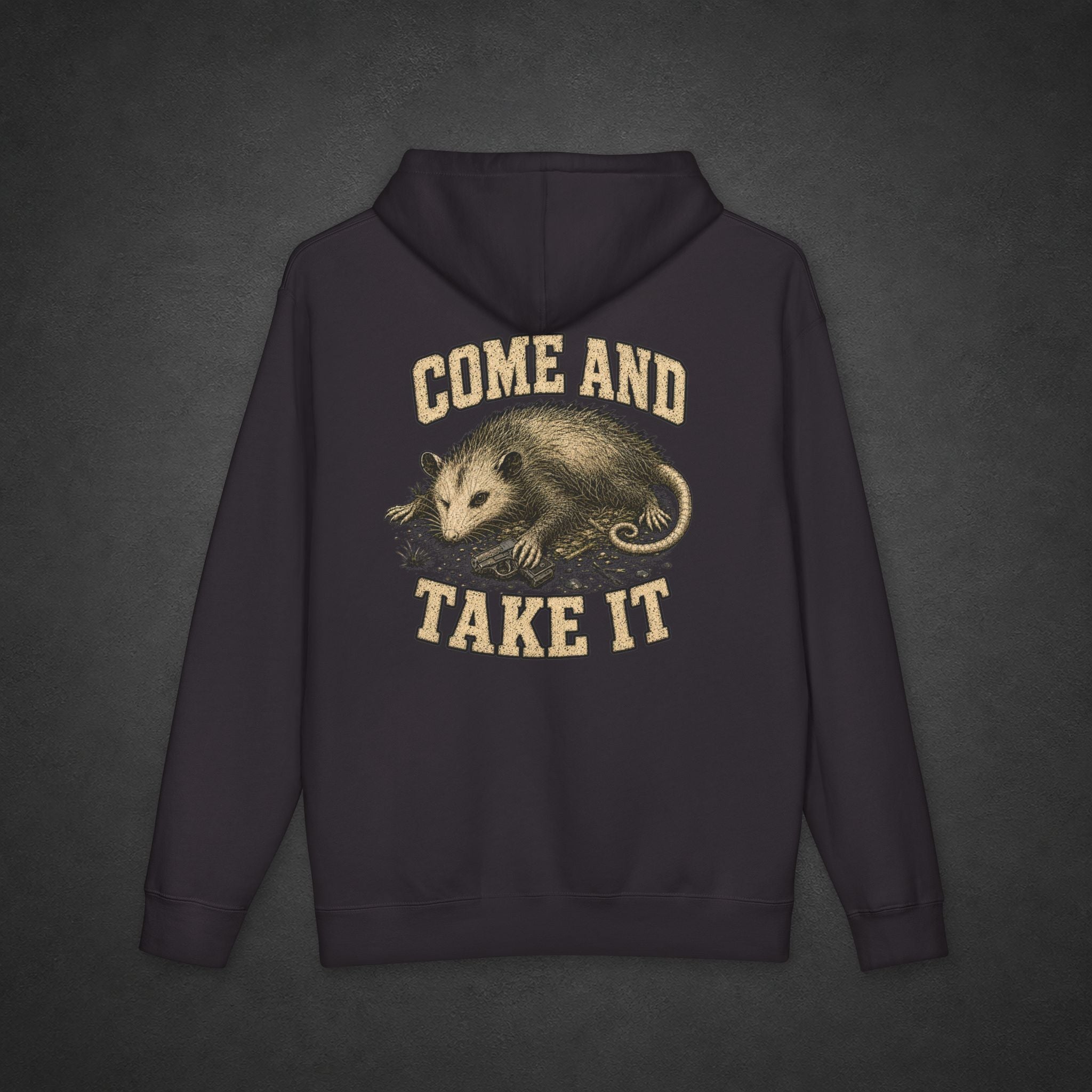Come and Take it Hoodie